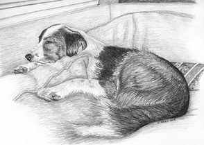 Sleeping Dog Graphite Drawing